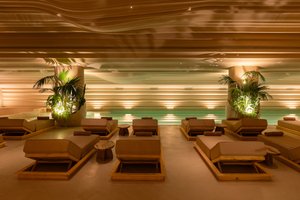 Spa and wellness