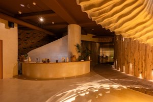 Spa and wellness