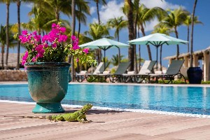 Hotel MANCHEBO BEACH RESORT & SPA wakacje