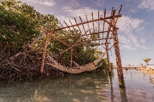Hotel RENAISSANCE WIND CREEK ARUBA RESORT wakacje