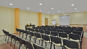 Conference Facilities
