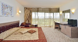 Junior Suite Park View