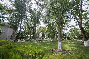 Hotel CINEMA wakacje