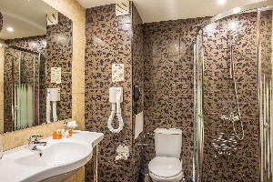 Twin Standard room bathroom