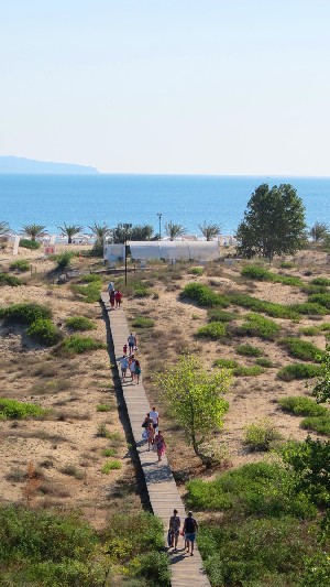 path to the beach