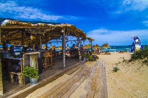 Beach Bar