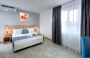  1 Bedroom Standard Apartment (Balcony or Terrace)