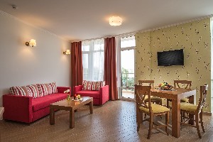 Standard Apartment (Balcony or Terrace)