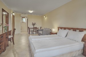  Standard Studio (Park View, Balcony or Terrace)