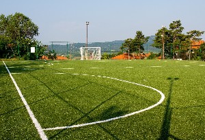 Recreational facility