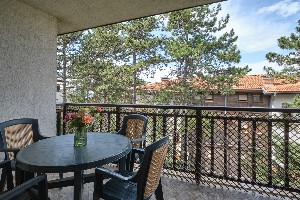  Standard Studio (Park View, Balcony or Terrace)