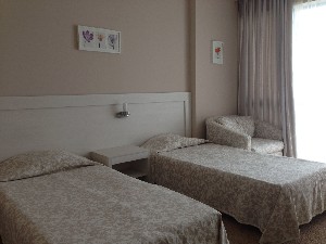 Twin Standard Room (Balcony or Terrace)