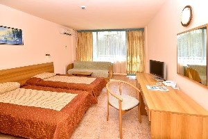 Standard Room (Park View, Balcony or Terrace)