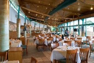 Hotel BORJANA wakacje