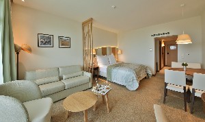 RoomSuperior Studio (Balcony or Terrace)