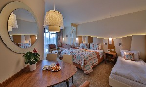 Superior Studio (Balcony or Terrace)