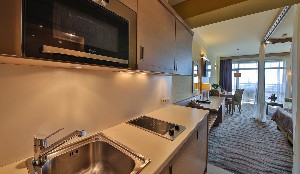 Double Deluxe Studio (Balcony)