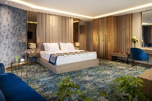 Deluxe superior room