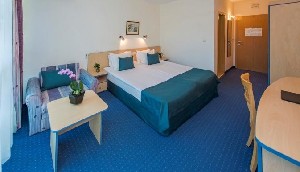 Hotel BSA HOLIDAY PARK wakacje