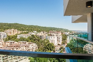 Superior Room Park View