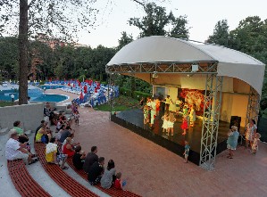 Mini Disco an Show animation