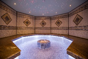 Spa steam bath