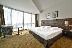 Suite Standard-1 bedroom