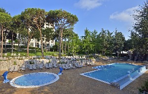 The Level Garden pool Area