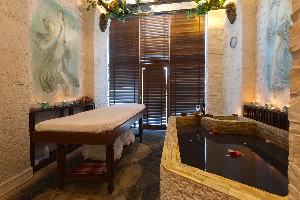 Spa and wellness