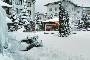 Hotel EVELINA PALACE wakacje