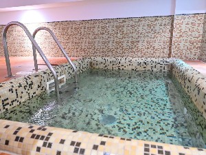 Hotel VIHREN ROYAL PALACE wakacje