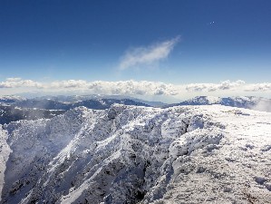 Hotel VIHREN ROYAL PALACE wakacje