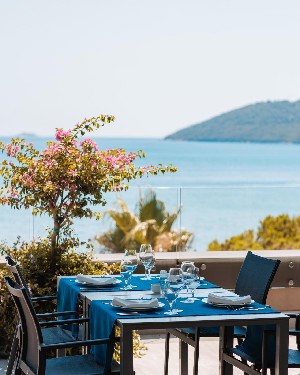 Hotel PALMON BAY HOTEL & SPA wakacje