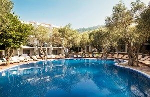 Hotel HOTEL VILE OLIVA wakacje