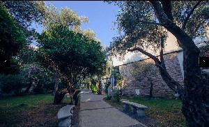 Hotel HOTEL VILE OLIVA wakacje