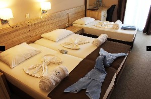 Hotel HOTEL VILE OLIVA wakacje