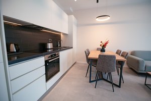 1 Bedroom Standard Apartment (SeaView