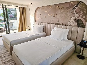 Premium Deluxe Room 