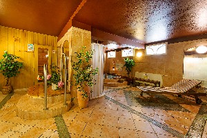 Hotel ALPSKÝ HOTEL wakacje