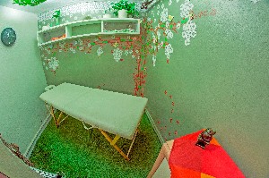 Hotel ALPSKÝ HOTEL wakacje