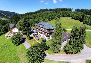 Hotel ALPSKÝ HOTEL wakacje