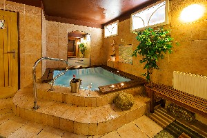 Hotel ALPSKÝ HOTEL wakacje