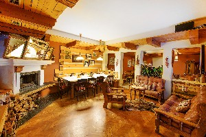 Hotel ALPSKÝ HOTEL wakacje