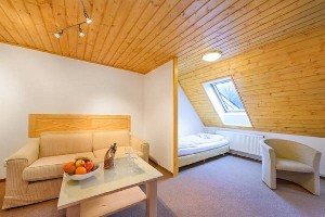 Hotel HOTEL TŘI RŮŽE wakacje