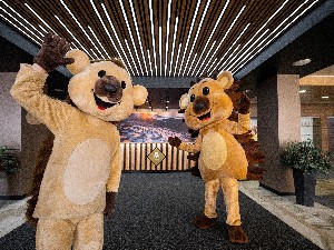 Hotel PINIA HOTEL & RESORT (EX. CLARION) wakacje