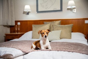 Hotel SNEZKA wakacje