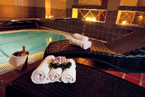 Hotel ZÁTIŠÍ wakacje