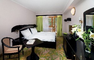 Hotel ZÁTIŠÍ wakacje