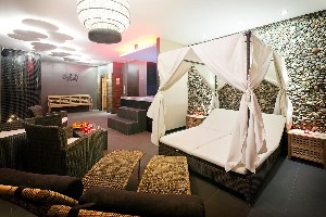 Hotel PYTLOUN WELLNESS TRAVEL HOTEL wakacje