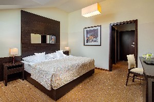 Hotel CLARION HOTEL PRAGUE CITY wakacje